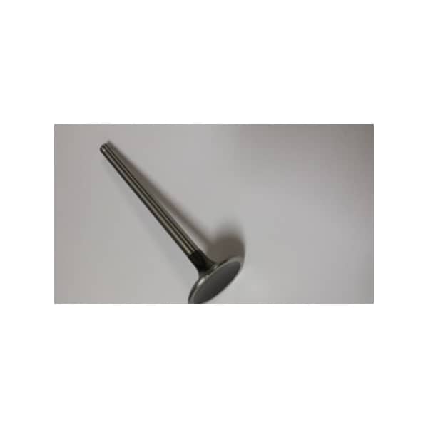 Valve Exhaust
